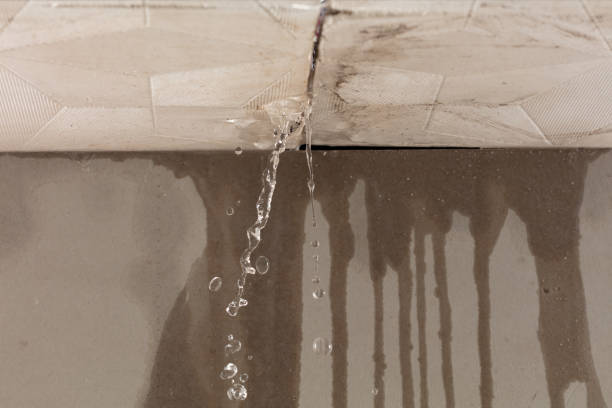 Professional Water Damage Repair technician working in San Marcos, TX